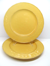 Pier 1 Mango Yellow Set Of 2 Rustic 10 3/4&quot; Dinner Plates VGC - $26.10