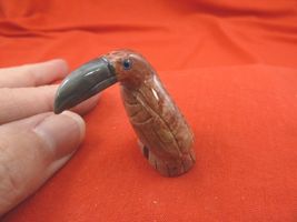 y-bir-to-43) little red gray Toucan tropical bird soapstone carving love... - $8.99