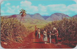 Postcard Sugar Fields West Maui Mts. Tourists 5.5 x 3.5 ins. - £3.96 GBP