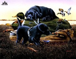 Dog Days by Phillip Crowe Duck Hunting Dogs Signed Numbered Limited Paper Print - £107.09 GBP