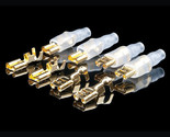 FTL-G OYAIDE Audio Faston Terminal Nickel/24K gold double layer plating - £15.62 GBP