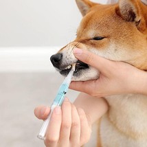 Pet Teeth Repairing Kit For Dog Cat Teeth Cleaning Pen Kit - £13.43 GBP