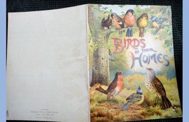 Antique Father Tucks Nursery Raphael Birds In Home - £98.65 GBP