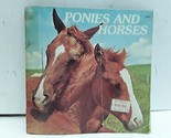Ponies and Horses [My 1st Animal Lib] - $8.90