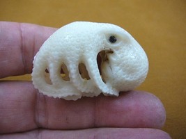 tb-octo-17) white Octopus TAGUA NUT palm figurine Bali carving ocean ree... - $769.39 MXN