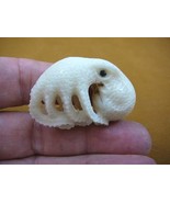 tb-octo-17) white Octopus TAGUA NUT palm figurine Bali carving ocean ree... - £32.97 GBP