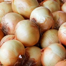 Onion Yellow Spanish Seeds 200 Sweet Vegetable Heirloom Nongmo - $8.35