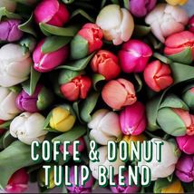 18 Bulbs Coffe & Donut Blend Tulip Bulb Perennials Unique Varieties - $26.38