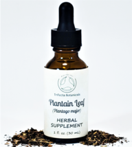 PLANTAIN LEAF Herbal Supplement / Liquid Extract Tincture / Herb Plantago major - £11.77 GBP