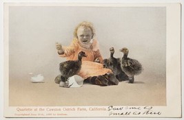 CA Quartet At The Cawston Ostrich Farm Litte Girl Birds California Postcard X29 - £6.25 GBP