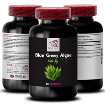 Algae Nutrient Mix - BLUE GREEN ALGAE - Energy Algae Capsules 1 Bottle 60 Capsul - $17.96