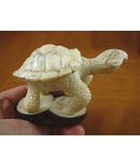 (tb-turt-203) Galapagos Turtle TAGUA NUT palm figurine Bali I love turtles - $2,981.54 MXN