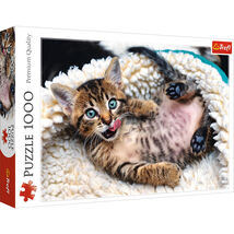 1000 Piece Jigsaw Puzzles, Cheerful Kitten, Puzzle of Animals, Cats, Kit... - $586.85 MXN