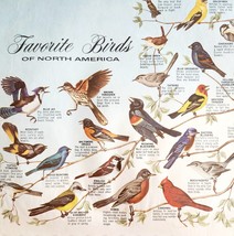 1970-80s Favorite Birds Of North America Vintage Restaurant Placemat #28... - $369.50 MXN