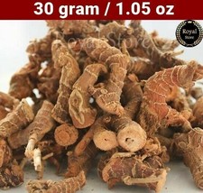 30 Grams Dried Galangal Whole Roots Alpinia Natural Spice - خلنجان... - £4.98 GBP