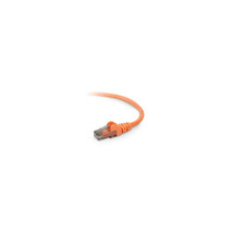 BELKIN INTERNATIONAL INC A3L980-01-ORG-S 1FT CAT6 SNAGLESS PATCH CABLE O... - £16.14 GBP