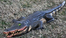 Halloween Play Alligator 4&#39; Long Vinyl Pirate Party Swamp Prop Theater Accessory - £88.27 GBP
