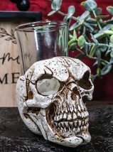 Gothic Ossuary Graveyard Macabre Grinning Evil Skull Shot Glass Holder Figurine - £12.04 GBP