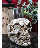 Gothic Ossuary Graveyard Macabre Grinning Evil Skull Shot Glass Holder F... - £11.94 GBP