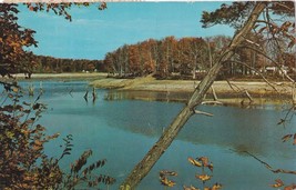 Muskegon River Big Rapids Ohio Postcard Posted 1959 - £7.77 GBP