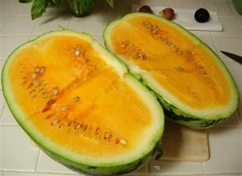 10 Seeds Yellow Watermelon Crimson Sweet Garden USA Shipping - £6.71 GBP