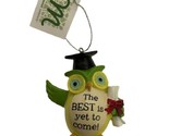 Midwest-CBK The Best is Yet to Come Graduation Owl Ornament  - £7.19 GBP