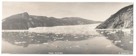 Original Early 1900s Taku Glacier Alaska Photo by Ed Andrews 3 1/2&quot; x 8 1/2&quot; - £39.56 GBP