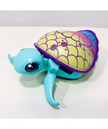 Little Live Pets Shellsea Lil&#39; Turtle I Swim In Water I Walk On Land - £10.35 GBP