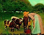 Farm Life Feeding Cows Calfs Near Willamsburg Pennsylvania PA UNP 1910s ... - $5.31