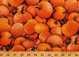 Cotton Pumpkins Fall Autumn Thanksgiving Harvest Time Fabric Print Bty D514.32 - £22.13 GBP