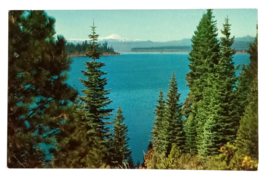 Lake Almanor Lassen Peak Northern California CA UNP Mirro Krome Postcard 1950s - £6.31 GBP