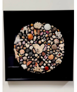 Beautiful seashell sculpture frame - $416.22 CAD