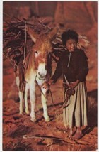 Navajo Lass and Her Burro Donkey Kodachrome Original By Jack Breed Postcard - $2.99