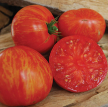 FREE SHIPPING 20 Organic Wild Boar Solar Flare tomato seeds Juicy Sweet Tasty - £9.53 GBP