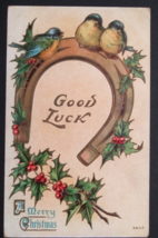 A Merry Christmas Blue Birds Horseshoe Good Luck Holly Embossed Postcard c1910s - £6.28 GBP