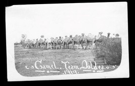 Vintage Postcard 1919 Railroad Construction Ooldea Australia Camel Team Timber - £35.59 GBP