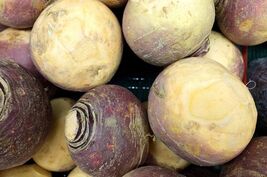 Laurentian Rutabaga Seeds Swedes Canadian Turnips for garden - $4.99