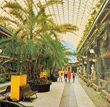 1980s Postcard Kapor Tree Inn Mall Clearwater Florida Unposted Vintage E2A - $19.99