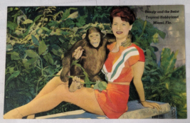 BEAUTY AND THE BEAST HOBBYLAND MIAMI FLORIDA VINTAGE POSTCARD MONKEY AND... - $12.99