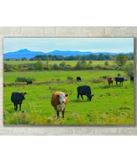 Vermont Rural Landscape, Country Cows - Fine Art Photo on Metal, Canvas ... - £24.89 GBP+