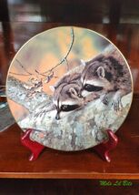 Vintage 1989 Fascination by Carl Brenders Collector Plate Our Woodland F... - $28.00