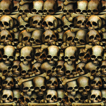 Beistle Catacombs Backdrop, 4-Feet by 30-Feet, 1 piece - $78.41