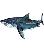 Megalodon Shark High Quality Vinyl Decal Sticker for Car Home Truck Boat... - €6,03 EUR+