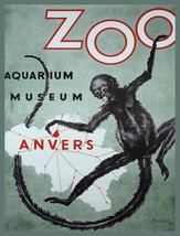 12451.Decoration Poster.Home wall art design.Spider monkey Zoo Anvers Museum - £13.52 GBP+