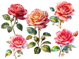 Rose SVG, Rose on stem svg, Rose pictures, 5 beautiful roses on a transp... - £2.35 GBP