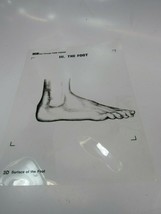 ICS Form Finders Surface of the Foot Transparency See Through 53602 - £9.59 GBP