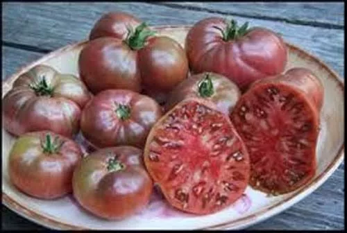 Fresh Seeds Tomato Cherokee Purple Lycopersicon Esculentum Vegetable 200 Seeds - £10.96 GBP