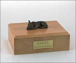 My Pal Chihuahua Short Hair Chocolate Cremation Urn on a Wood Box (X-Large, Oak) - £106.31 GBP