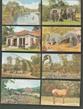 New York CITY-ZOOLOGICAL PARK-FLYING CAGE-WAPITI ELK-SQUIRREL-LOT Of 8 Postcards - £13.49 GBP
