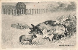 St Just England 1905 Pmk~Mother Pig &amp; Piglets~Artist Maude Scrivener Postcard - £7.15 GBP